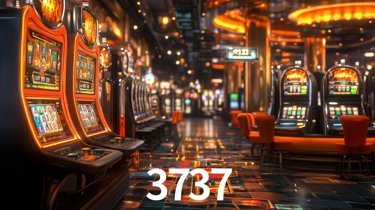 3737,3737.com