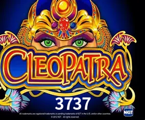 Cadastro rápido e seguro na 3737
